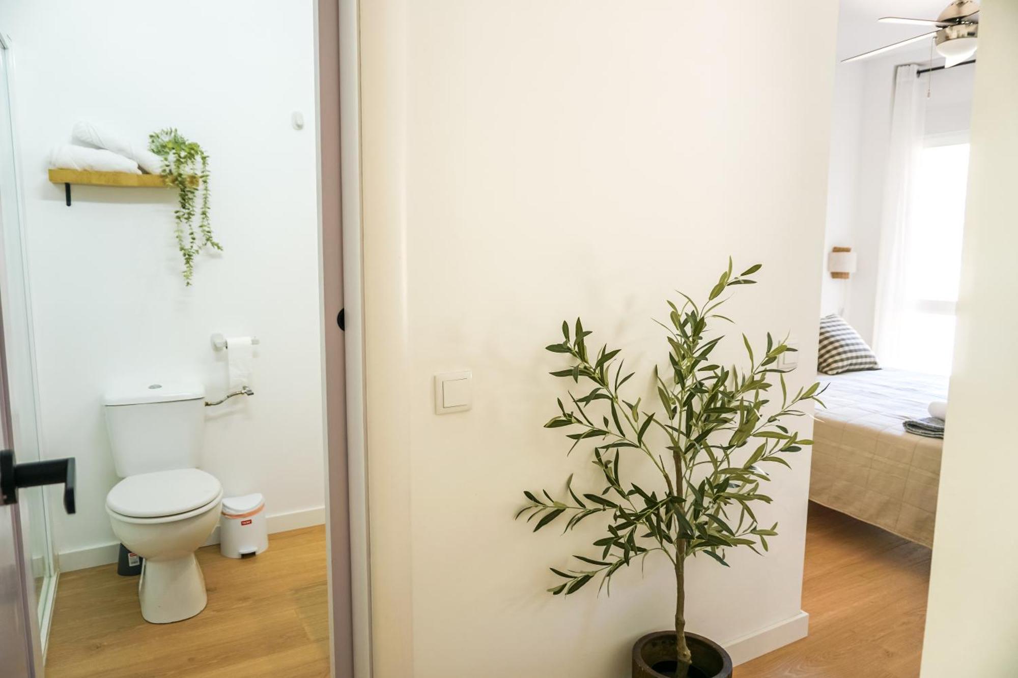 Apartamento El Olivo Alicante Exteriér fotografie